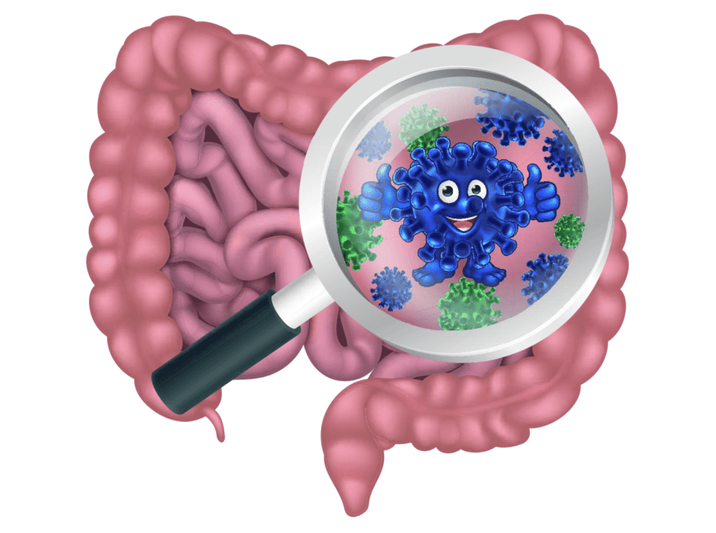 cartoon image of the human gut representing if you have good gut health you can have good mental health