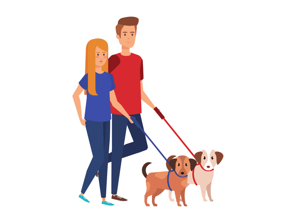 man and woman walking two dogs