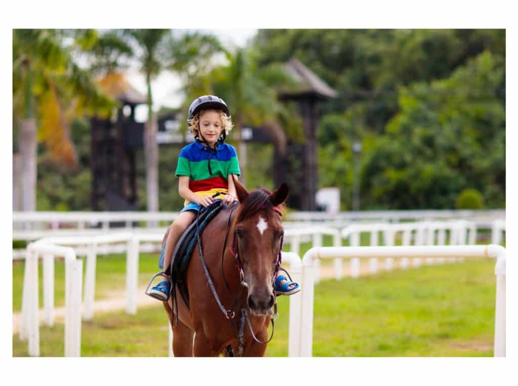 horse riding lessons representing how to make money with horses