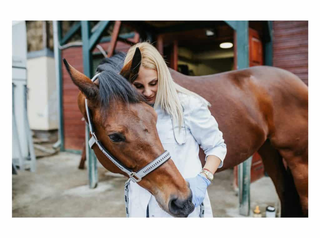 horse and woman representing how to make money with horses