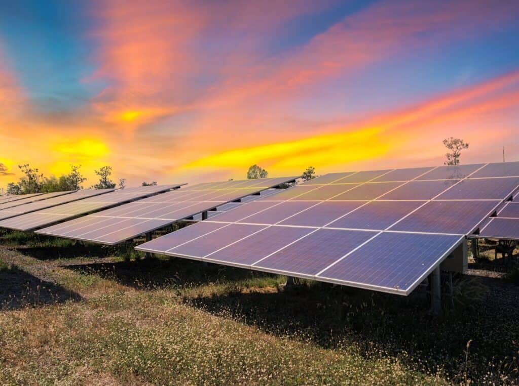 how-to-start-a-solar-farm (1)